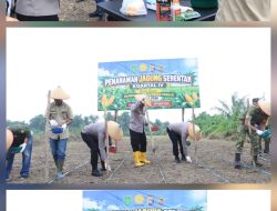 Dukung Asta Cita Presiden, Kapolres Inhil Pimpin Penanaman Jagung Kuartal IV di Tempuling
